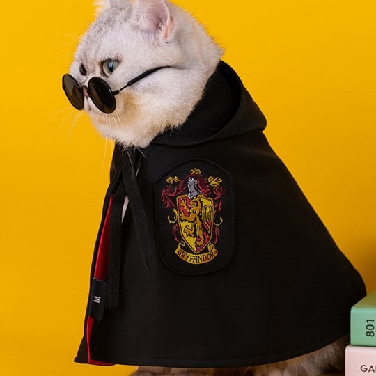 Harry Potter Cape Costume for Dogs and Cats Magical Pet Outfit