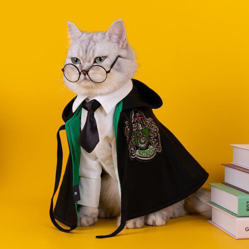 Harry Potter Cape Costume for Dogs and Cats Magical Pet Outfit