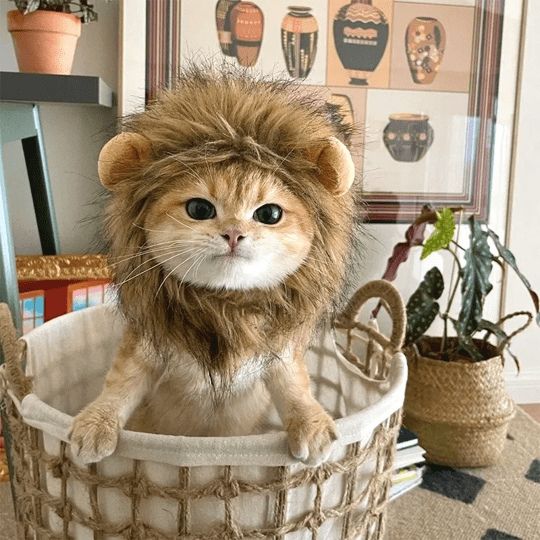 Lion Mane Wig Costume for Cat Pet Halloween Dress Up