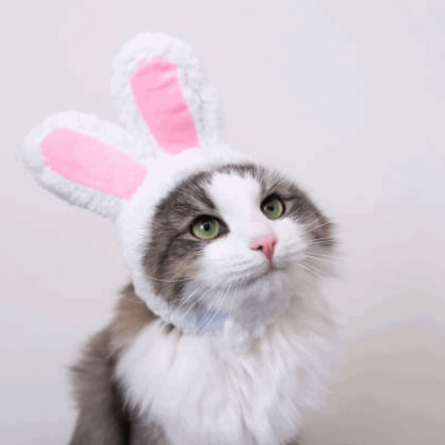 Cat Head Costume Hat Pet Halloween Accessory