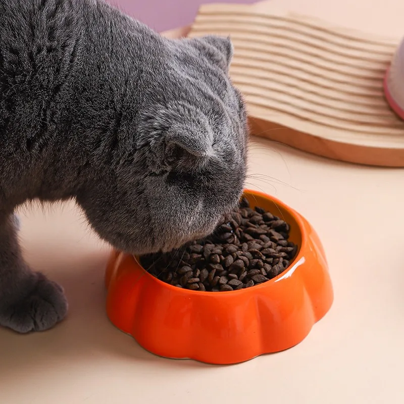 Small Ceramic Pet Bowl for Dogs and Cats Fruit Edition