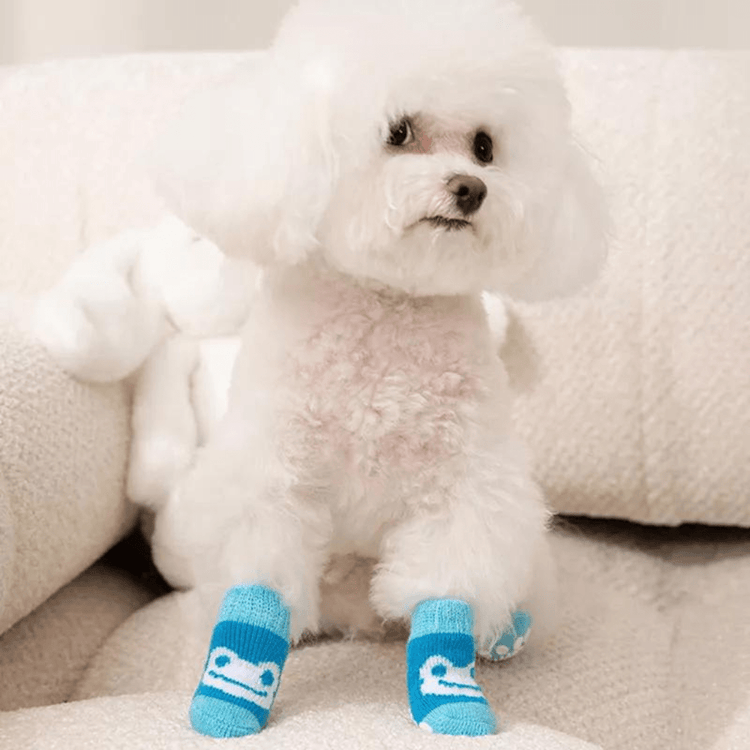 Dog Socks Non Slip Blue Frog Pattern Pet Footwear