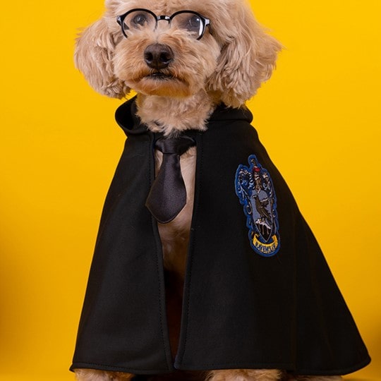 Harry Potter Cape Costume for Dogs and Cats Magical Pet Outfit