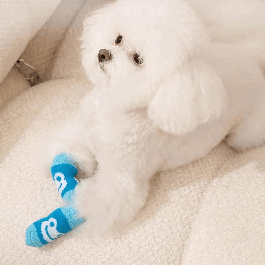 Dog Socks Non Slip Blue Frog Pattern Pet Footwear