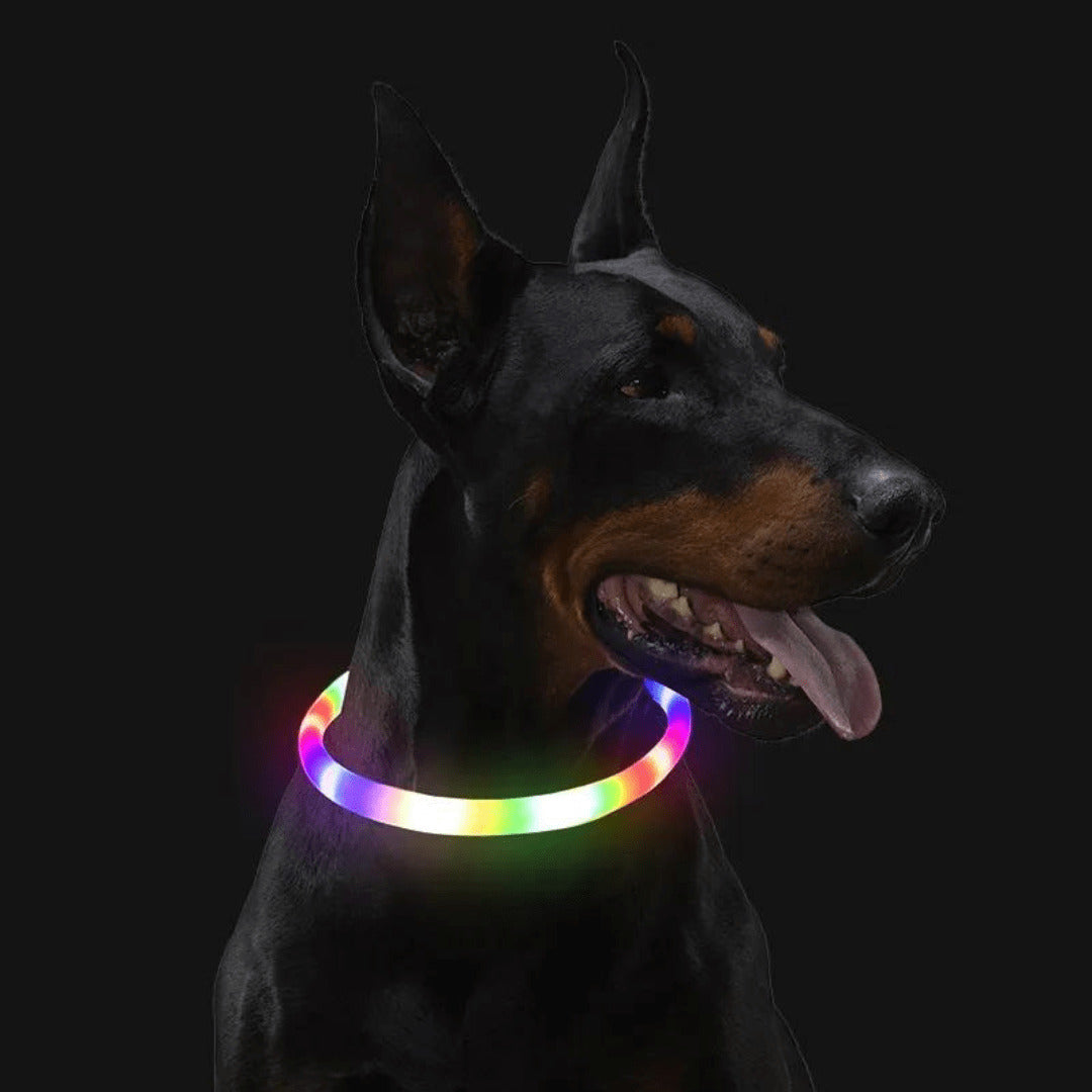LED Dog Collar Bright Light Safety Night Running Adjustable Pet Collar