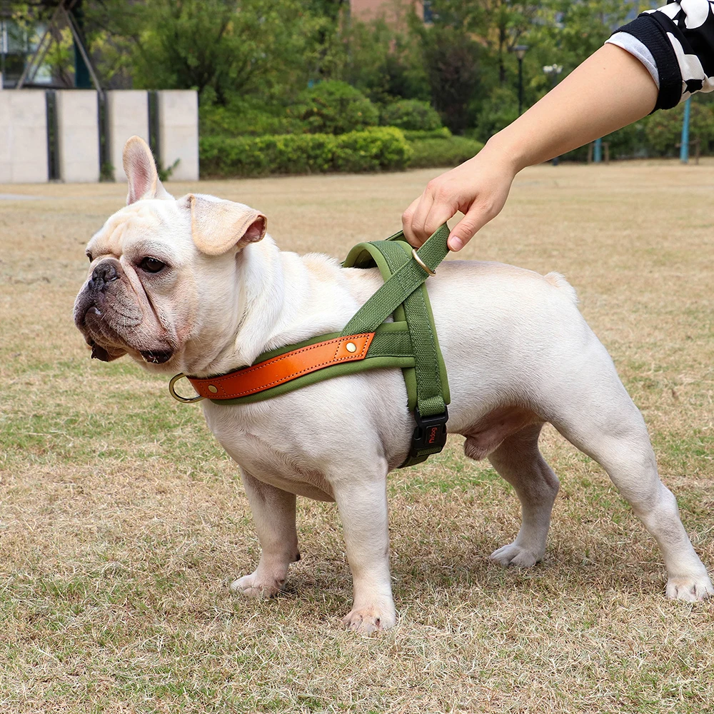 Dog T Harness Adjustable No Pull Pet Walking Harness