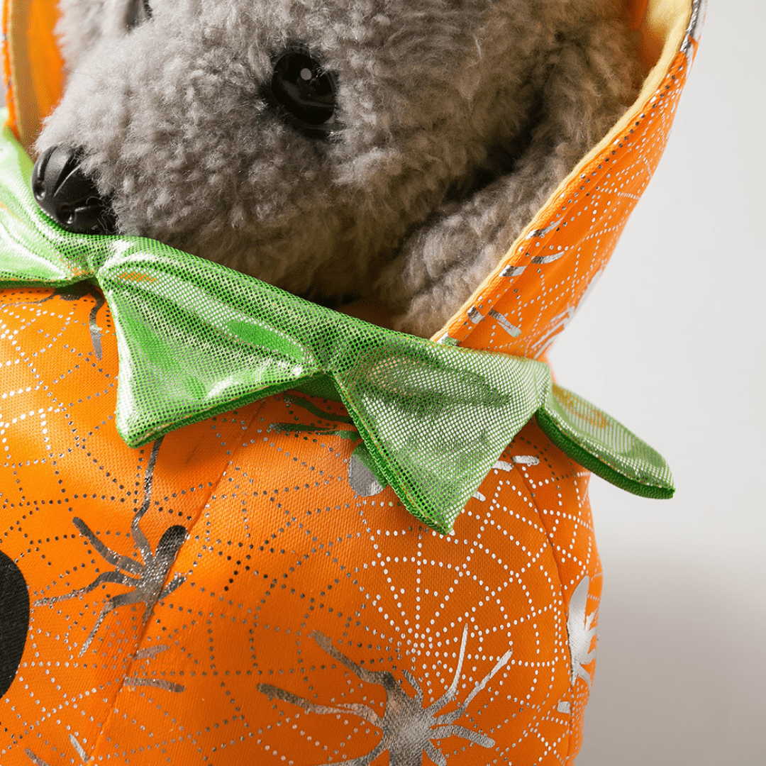 Pumpkin Costume for Dogs and Cats Halloween Pet Outfit