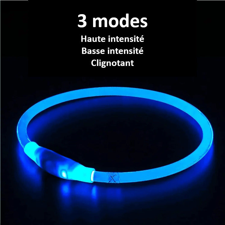 LED Dog Collar Bright Light Safety Night Running Adjustable Pet Collar