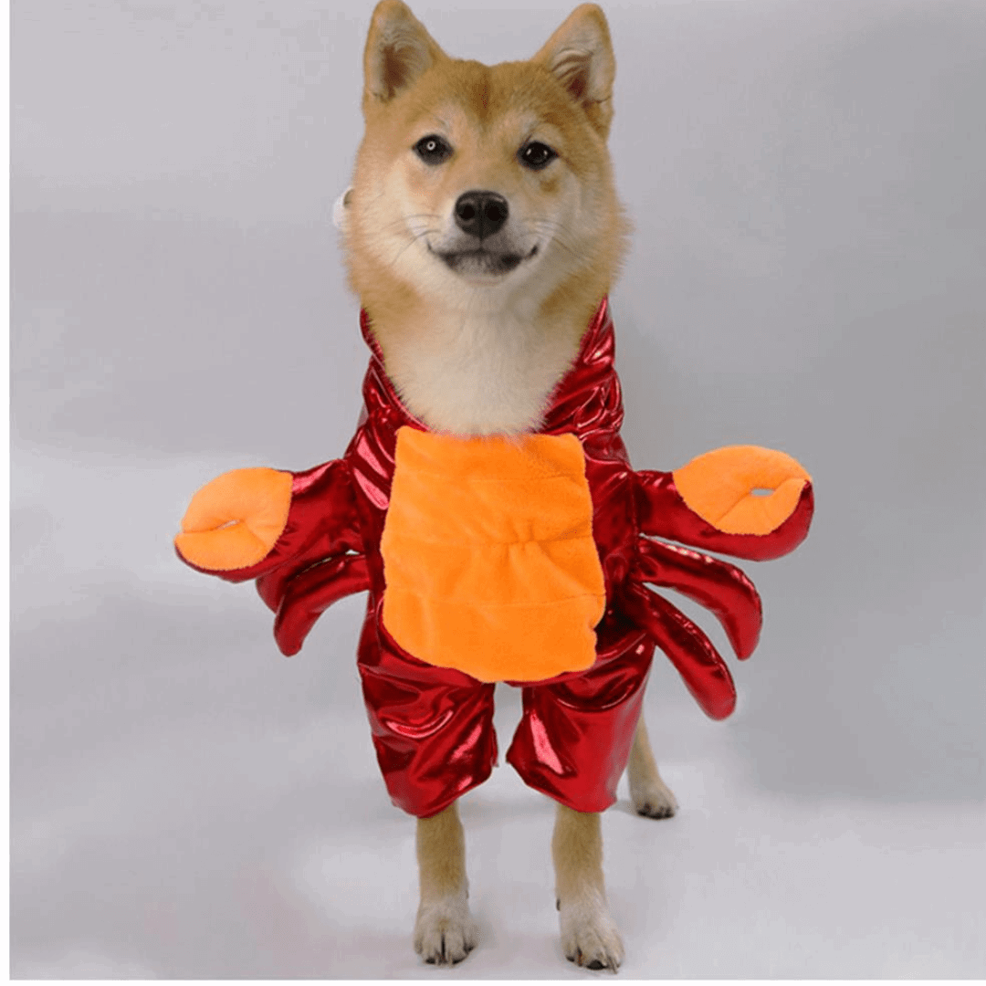 Crab Costume for Dogs and Cats Pet Halloween Outfit