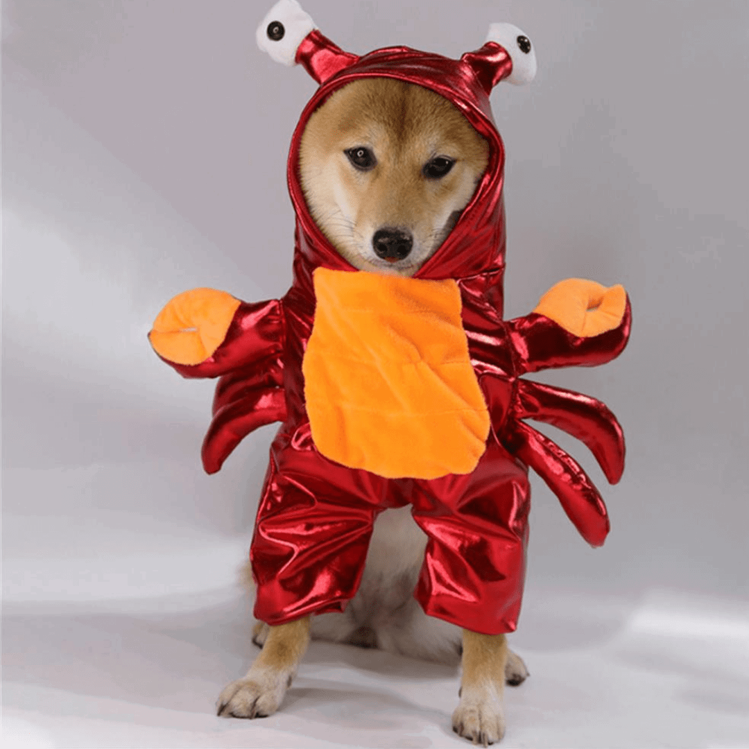 Crab Costume for Dogs and Cats Pet Halloween Outfit