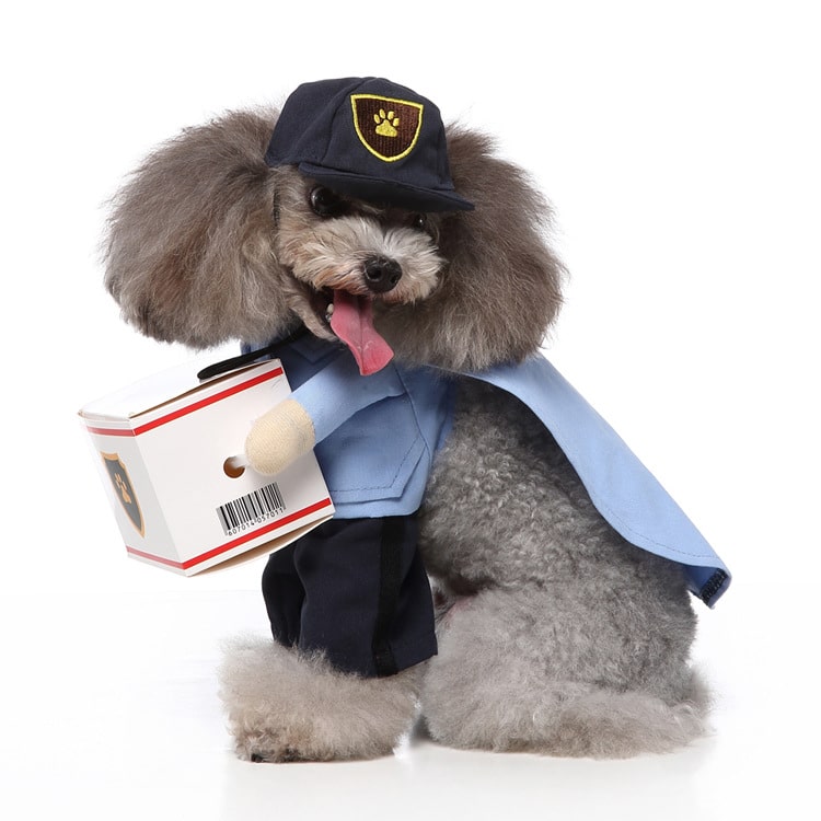Pet Delivery Driver Costume for Cats and Dogs