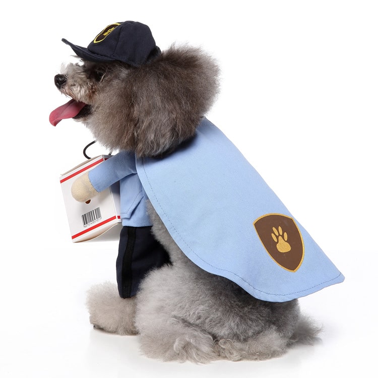 Pet Delivery Driver Costume for Cats and Dogs