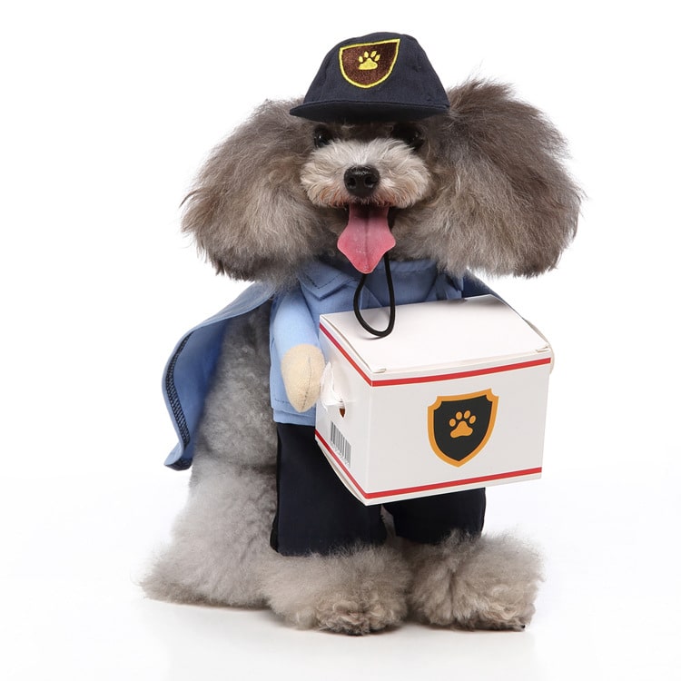 Pet Delivery Driver Costume for Cats and Dogs