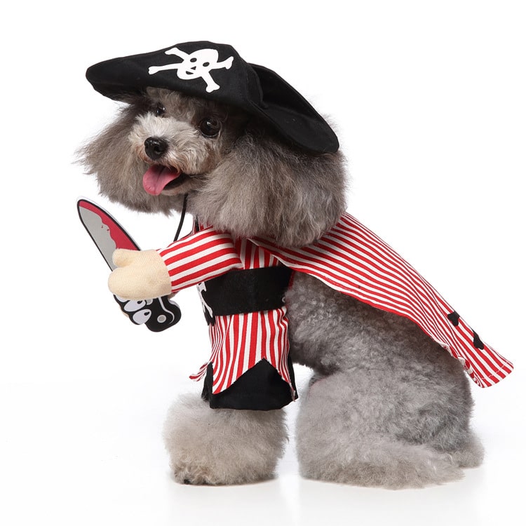 Pet Costume for Cats and Dogs Pirate Outfit