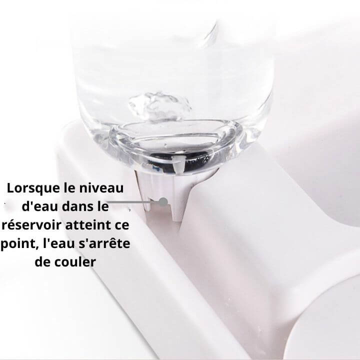 Cat Bowl Modern Design Pet Food Dish
