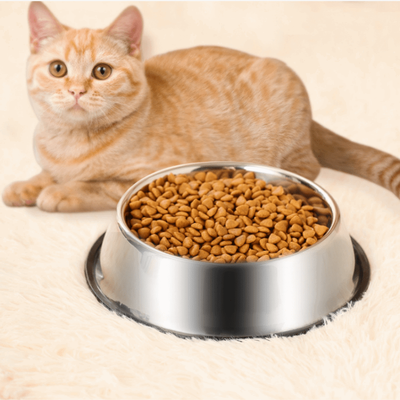 Stainless Steel Dog Bowl Durable Pet Food Water Dish