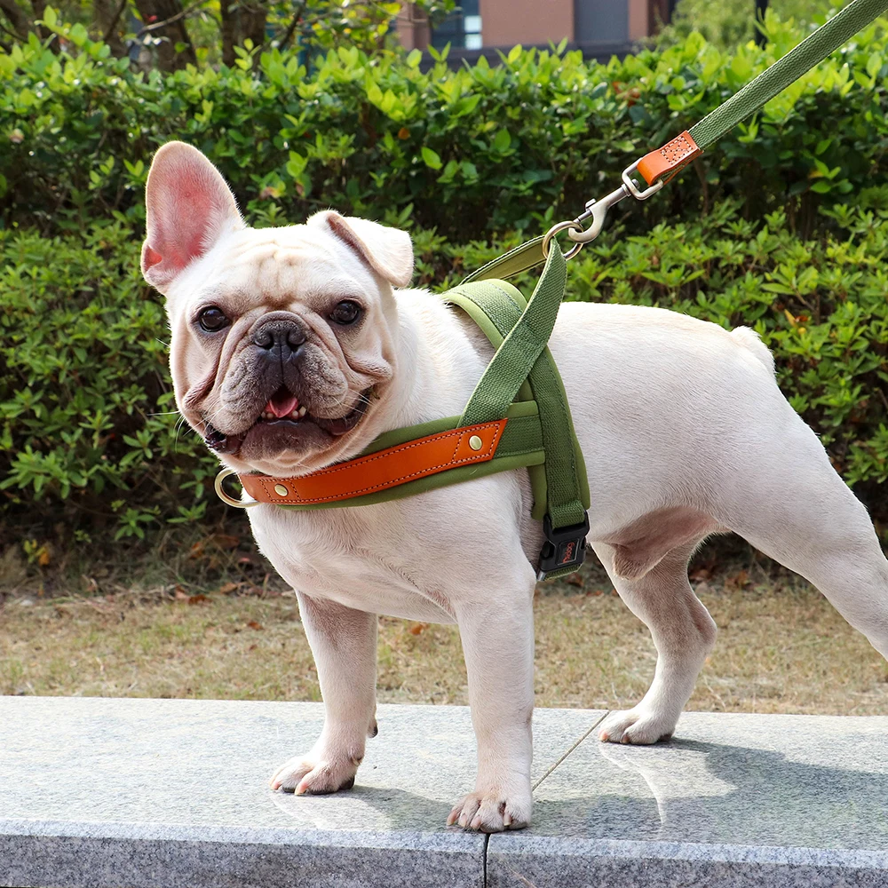 Dog T Harness Adjustable No Pull Pet Walking Harness