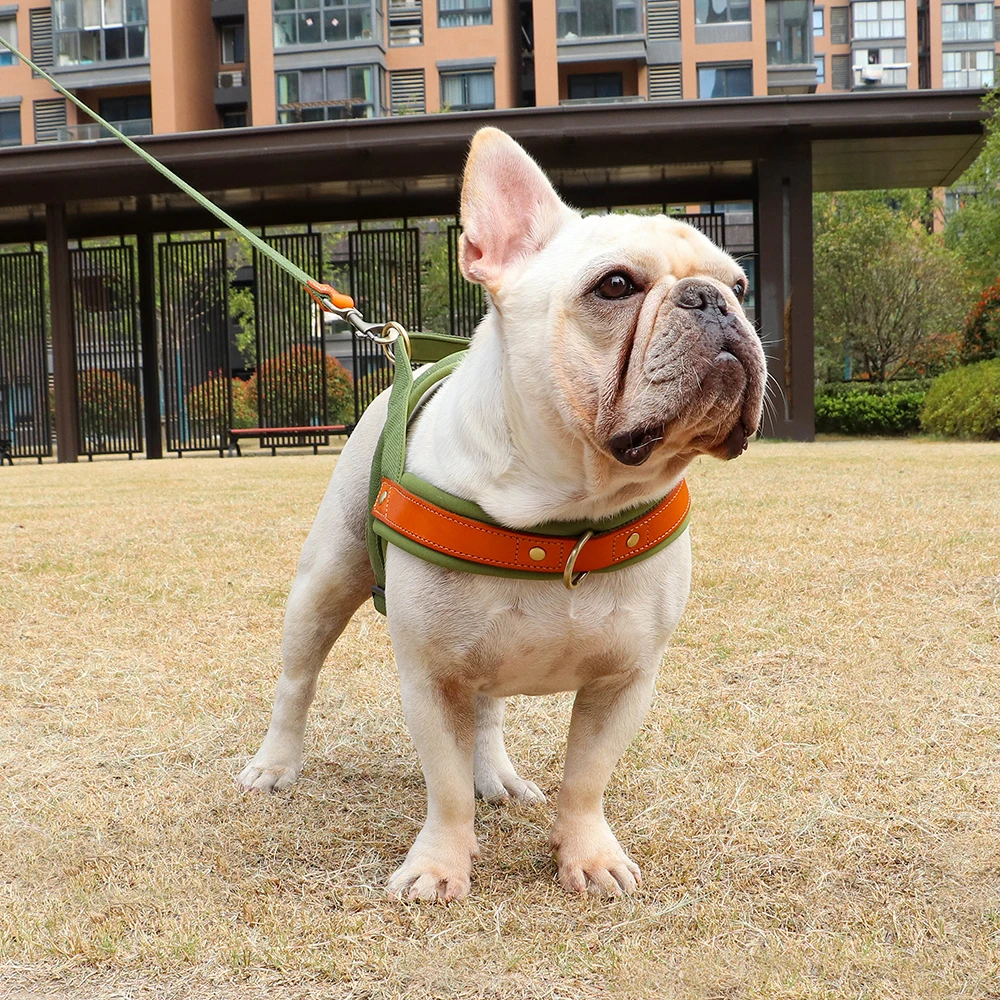 Dog T Harness Adjustable No Pull Pet Walking Harness
