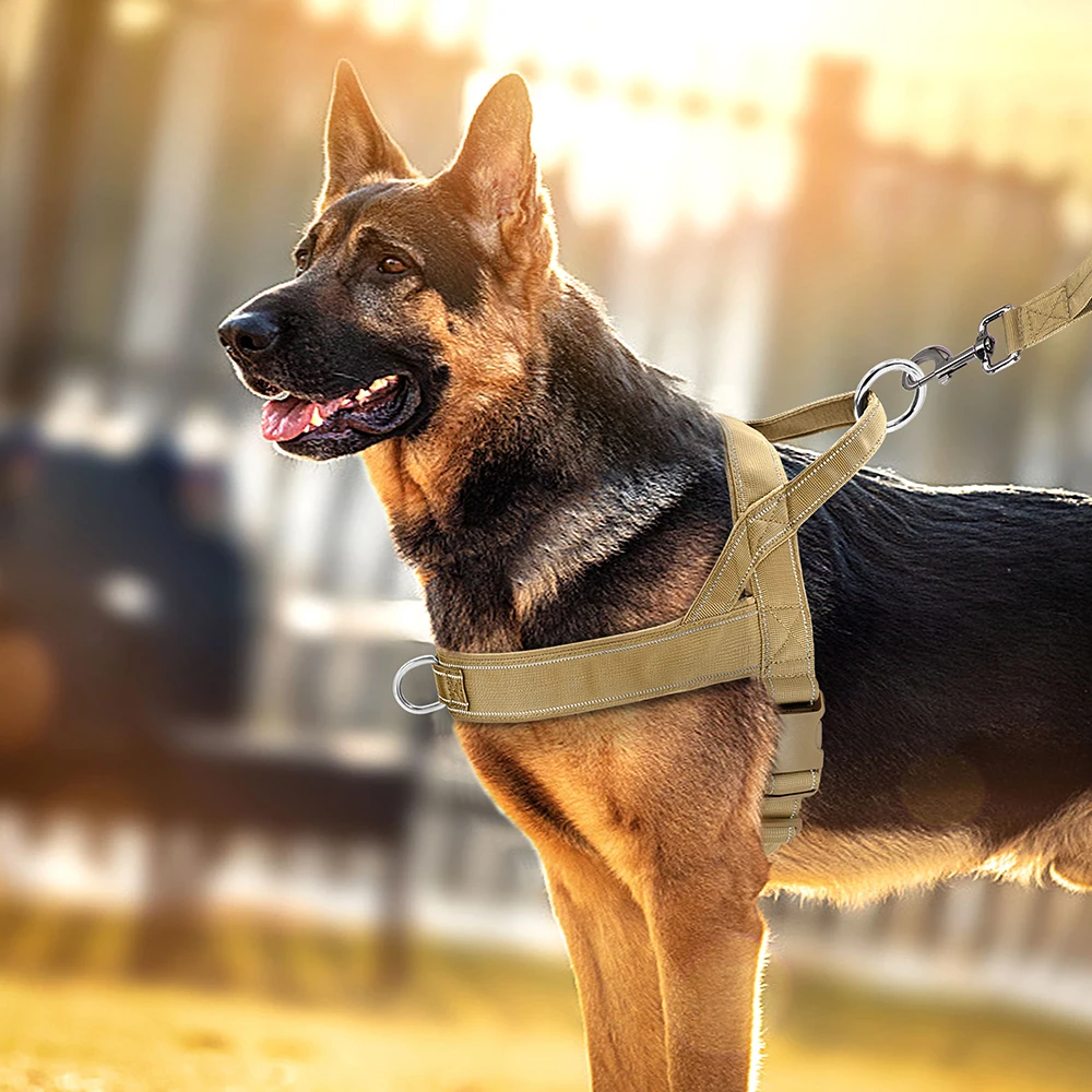 Dog T Harness Adjustable No Pull Pet Walking Harness