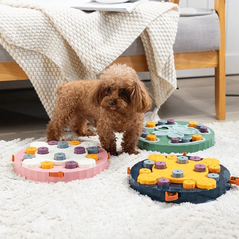 Interactive Slow Feeder Puzzle Toy for Dogs and Cats