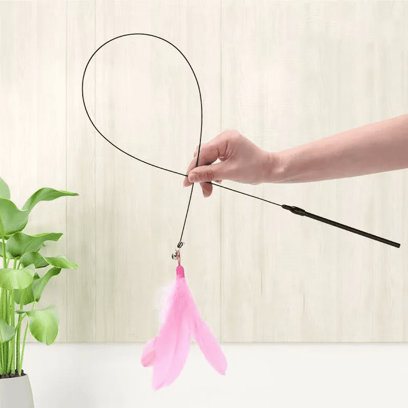 Cat Fishing Pole Toy with Suction Cup for Interactive Play