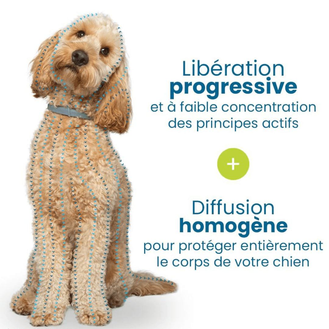 Flea and Tick Repellent Collar for Dogs and Cats Natural Protection