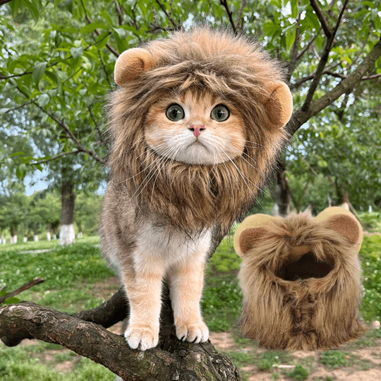 Lion Mane Wig Costume for Cat Pet Halloween Dress Up