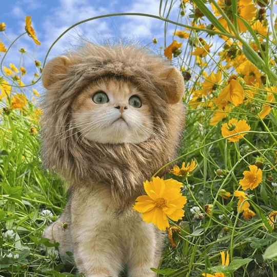 Lion Mane Wig Costume for Cat Pet Halloween Dress Up
