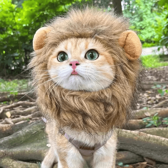Lion Mane Wig Costume for Cat Pet Halloween Dress Up