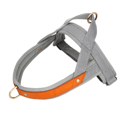 Dog T Harness Adjustable No Pull Pet Walking Harness