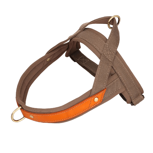 Dog T Harness Adjustable No Pull Pet Walking Harness