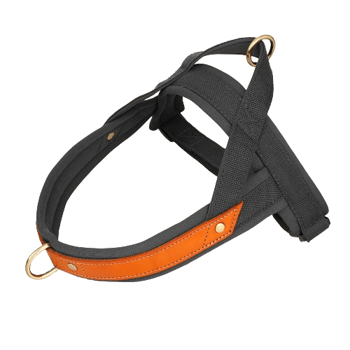 Dog T Harness Adjustable No Pull Pet Walking Harness