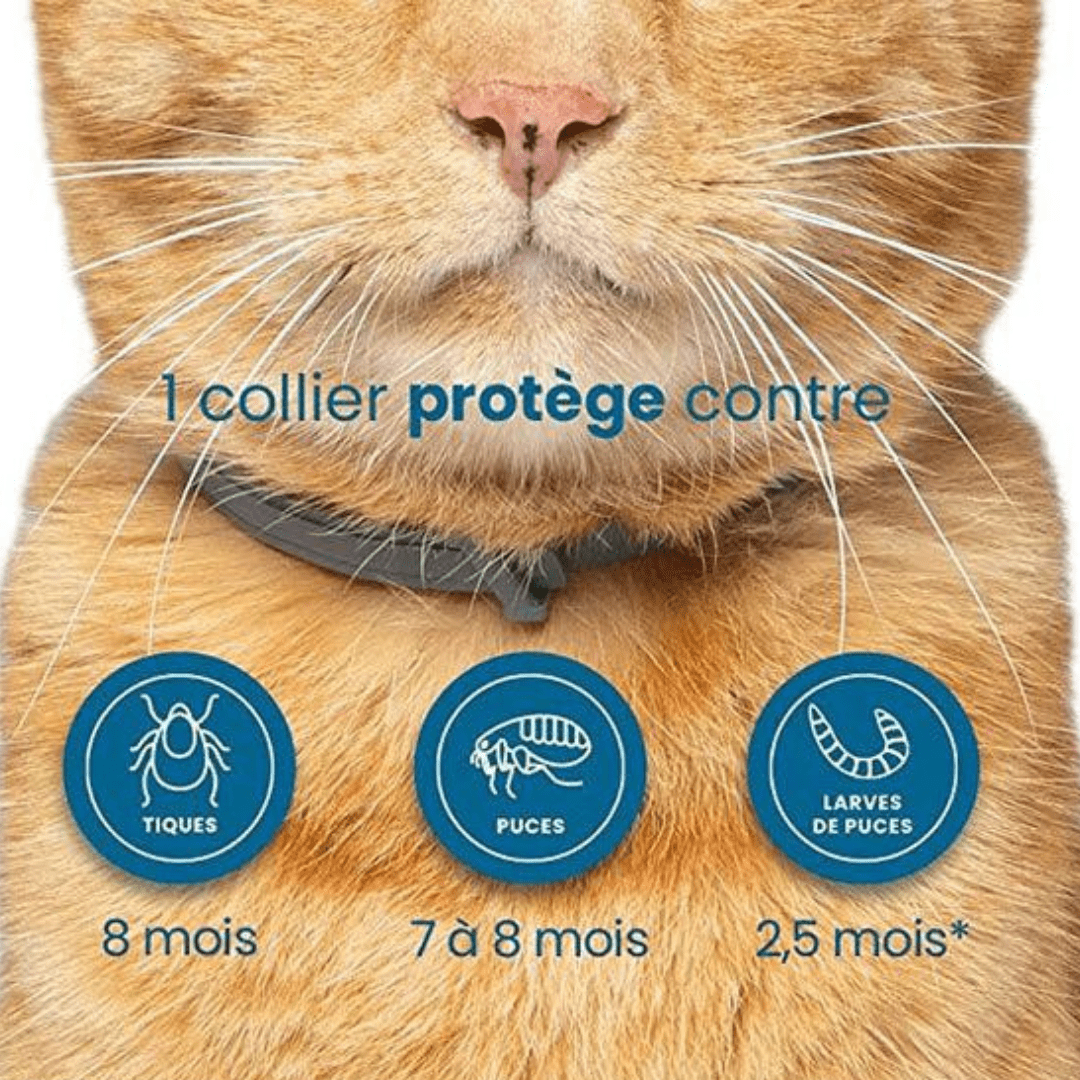 Flea and Tick Repellent Collar for Dogs and Cats Natural Protection