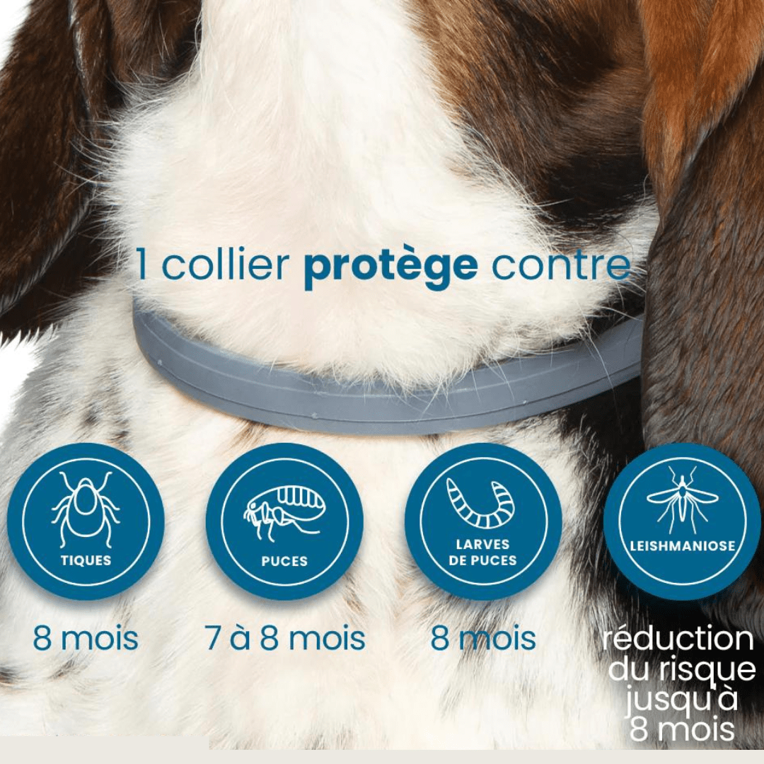 Flea and Tick Repellent Collar for Dogs and Cats Natural Protection