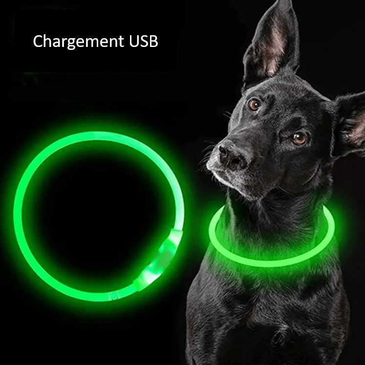 LED Dog Collar Bright Light Safety Night Running Adjustable Pet Collar