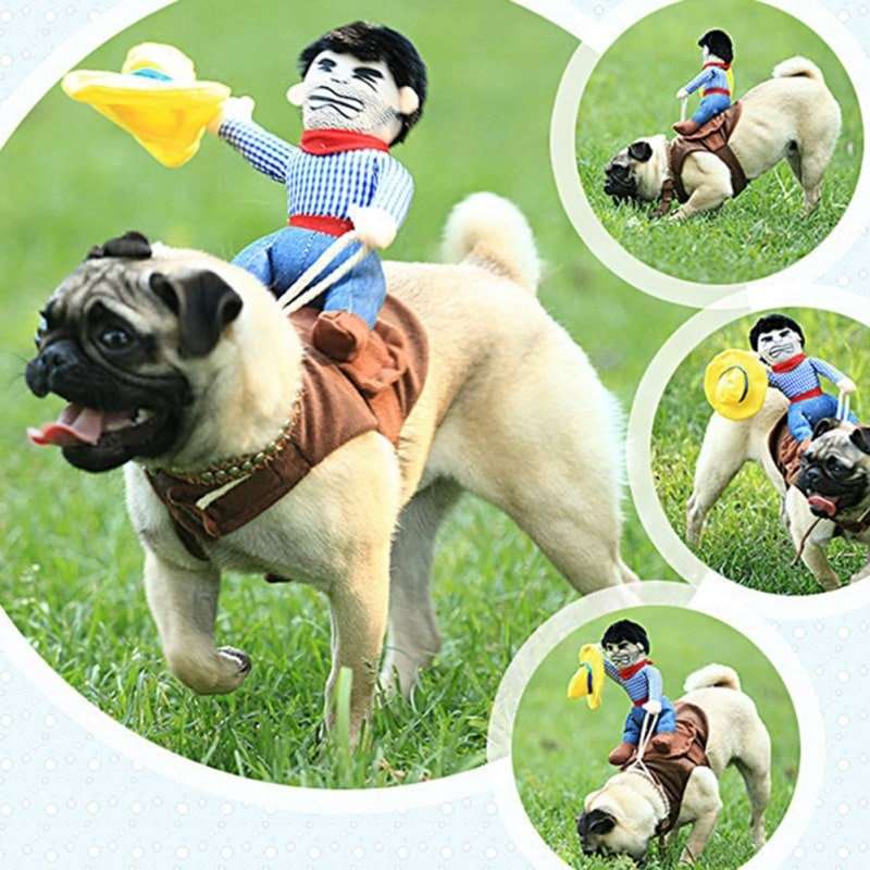 Rodeo Costume for Dogs and Cats Pet Halloween Outfit