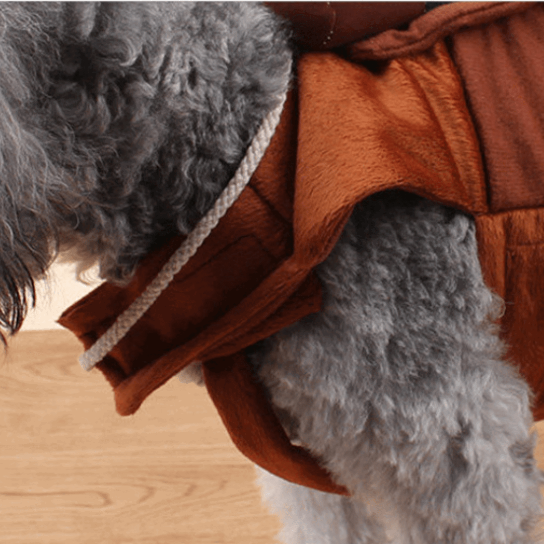 Rodeo Costume for Dogs and Cats Pet Halloween Outfit