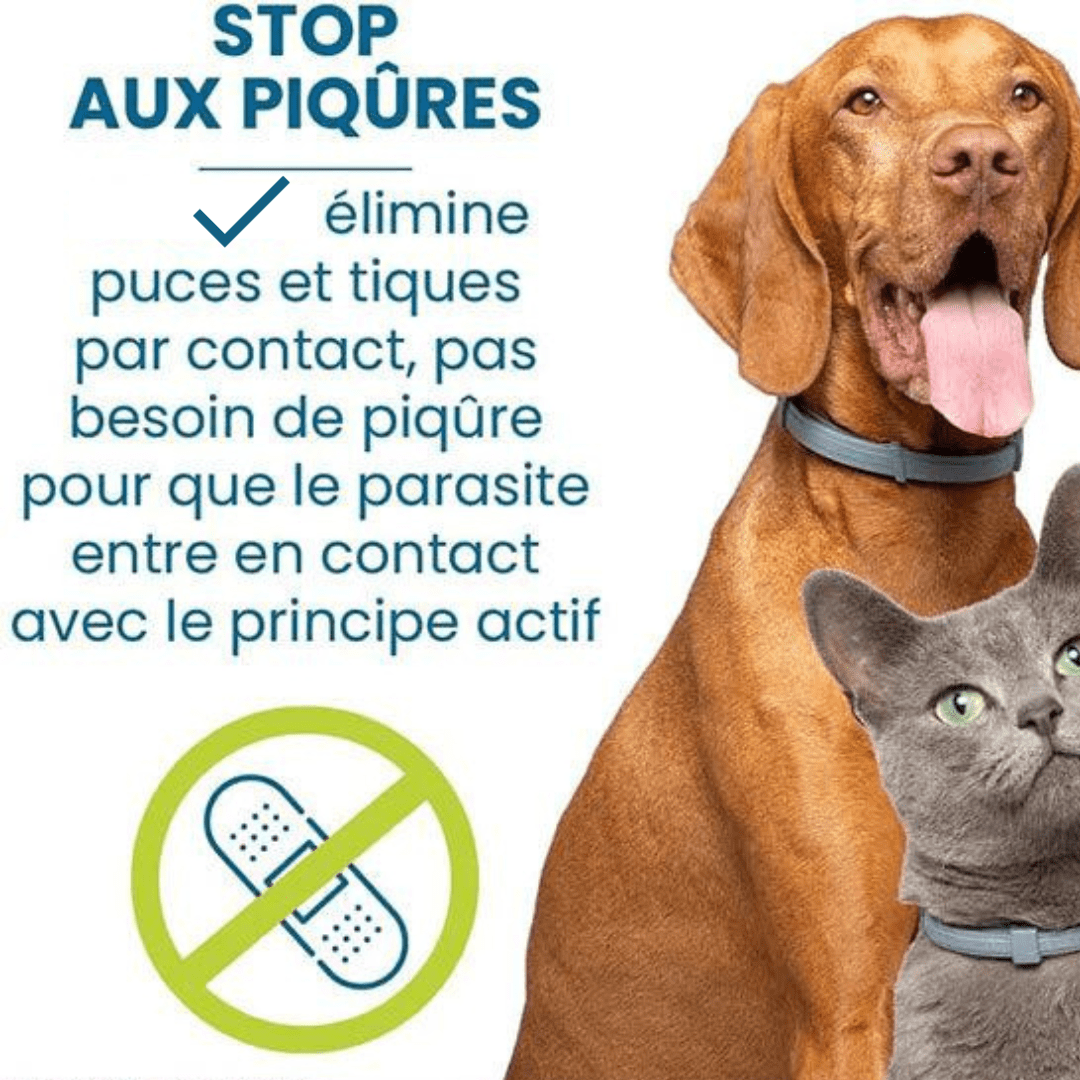 Flea and Tick Repellent Collar for Dogs and Cats Natural Protection
