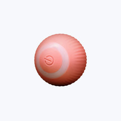 Interactive Cat Toy Ball