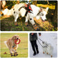 Waterproof Breathable Dog Booties for Outdoor Protection