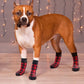 NonSlip Dog Socks for Tile Floors Anti Skid Pet Slippers