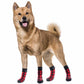 NonSlip Dog Socks for Tile Floors Anti Skid Pet Slippers