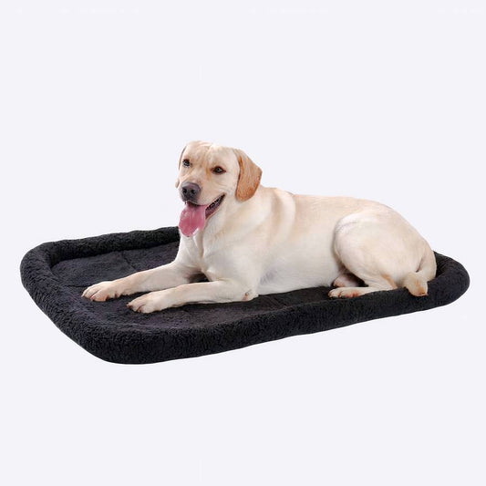 Ultra Soft Cushion Pillow for Home and Office Comfort