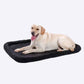 Ultra Soft Cushion Pillow for Home and Office Comfort
