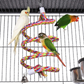 Bird Cage Aviary 18in x 14in x 39in Large Bird Cage with Spacious Flight Area