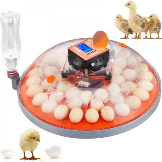 Automatic Egg Incubator with Automatic Turning - 48 Eggs Capacity - Temperature and Humidity Control