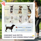 Dog Stroller with 4 Swivel Wheels Pet Jogger Cart