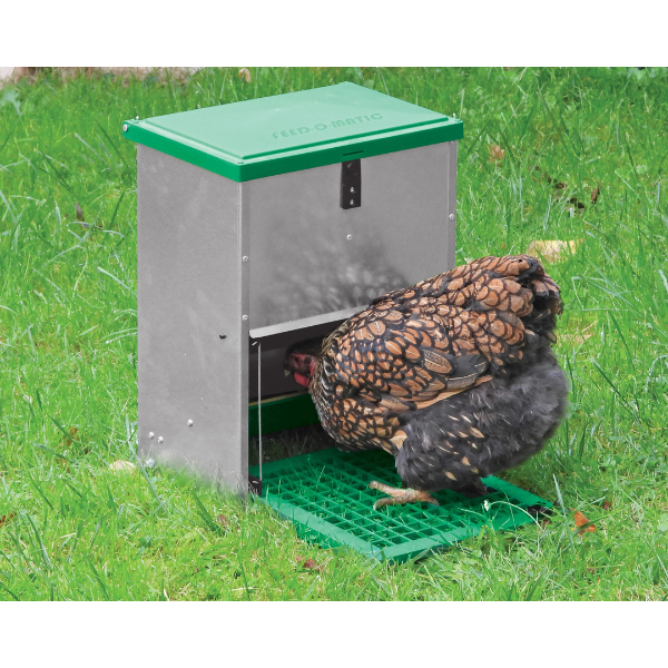 Adjustable Automatic Chicken Feeder 5lb Pest Resistant Poultry Feeder