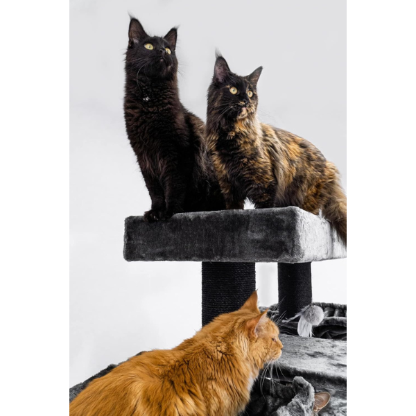 Giant XXL Cat Tree 19in x 69in Premium Multi-Level Cat Tower