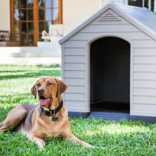 Beige and Brown Plastic Dog House 39 x 37 x 39 inches Durable Outdoor Pet Kennel Shelter